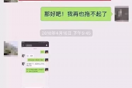 眉山为什么选择专业追讨公司来处理您的债务纠纷？